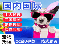 潍坊机场邮寄国际宠物托运 【国